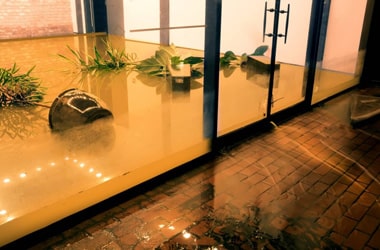 Commercial Premises Cleanup